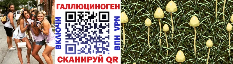 Галлюциногенные грибы Magic Shrooms  Краснокамск 