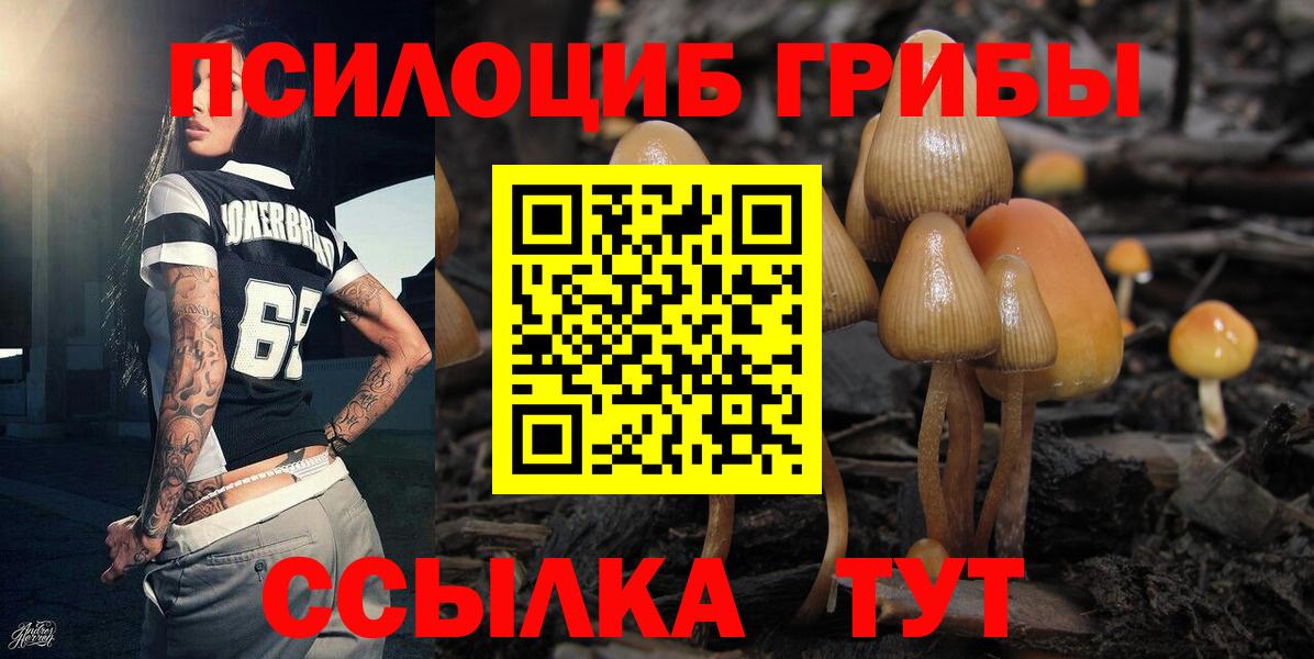 хочу   Вход с VPN  Краснокамск  Галлюциногенные грибы Psilocybine cubensis 